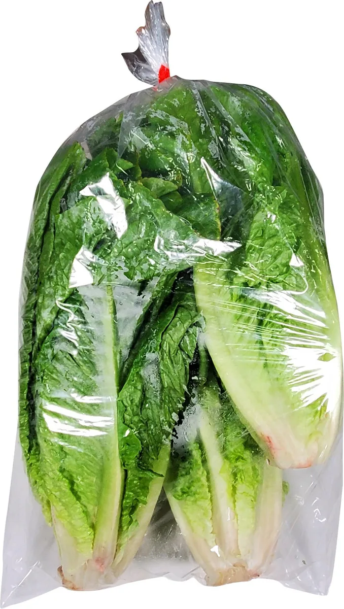 Romain lettuce 24 pk — UNIT