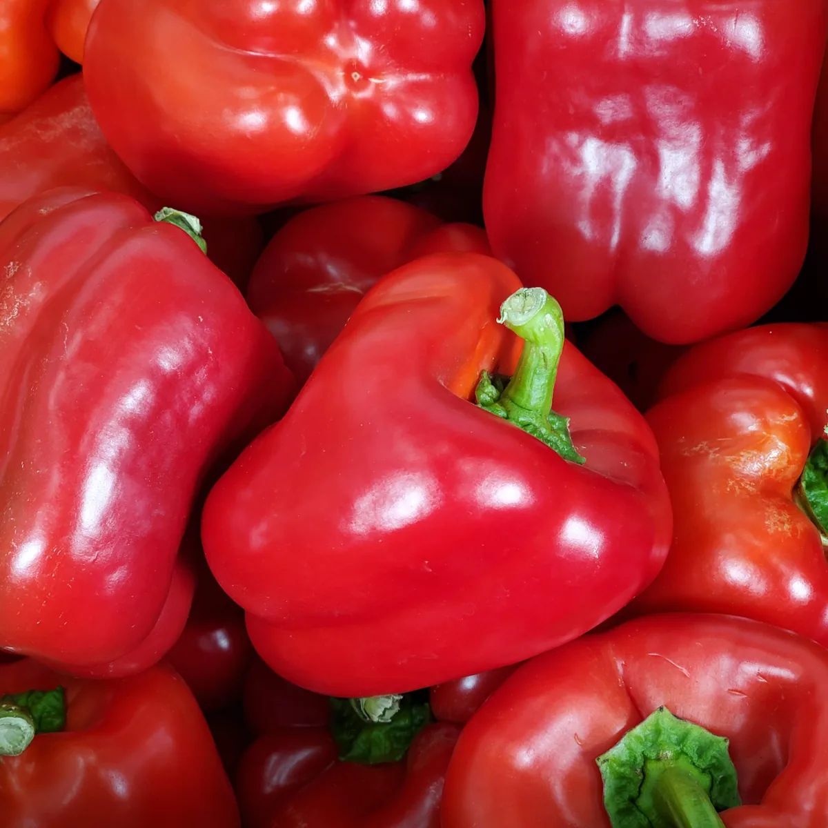 Red pepper-22Lb — UNIT