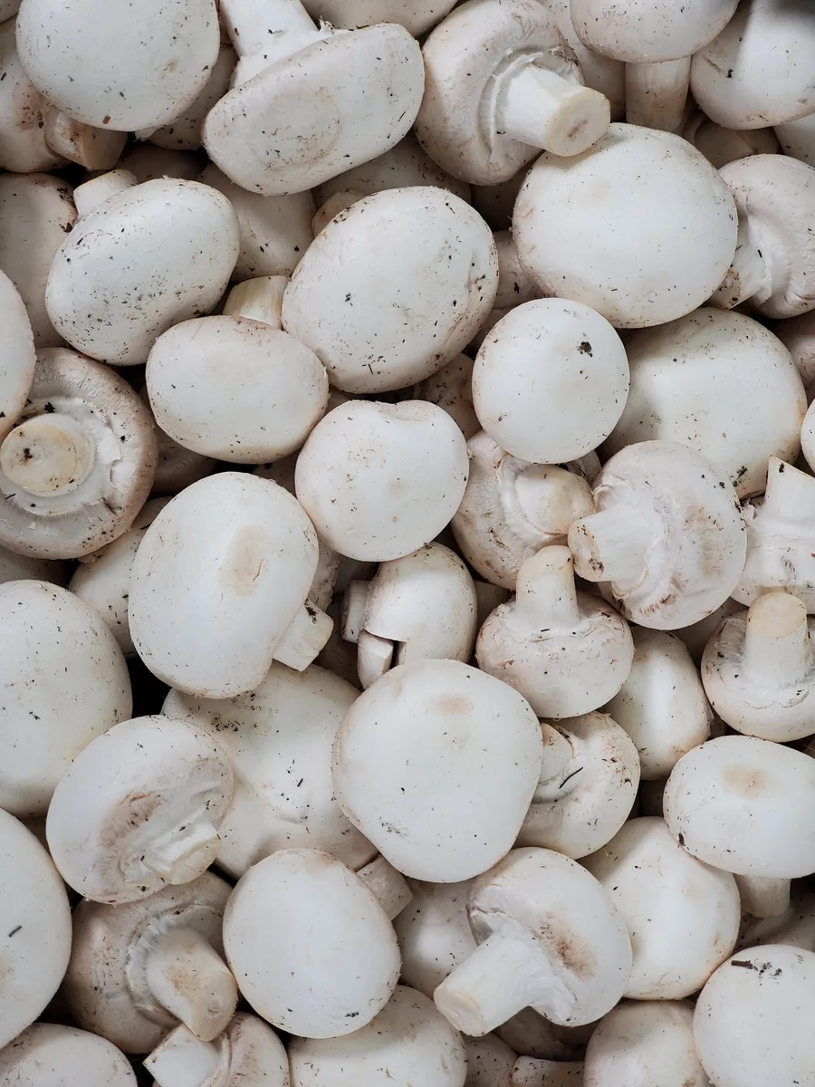 Mushroom whole 5LB /Case — UNIT