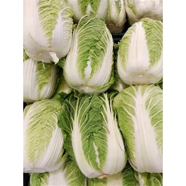 Napa Cabbage 50 lb — UNIT
