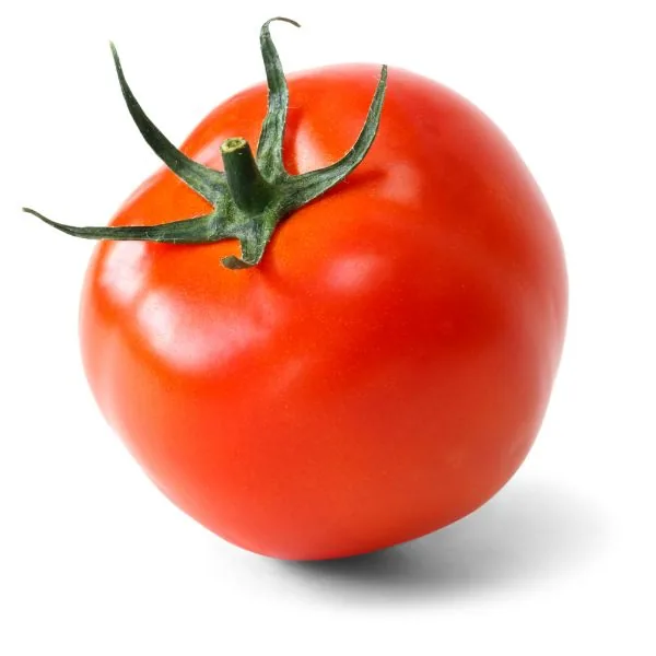 Tomato- 6x7 — UNIT